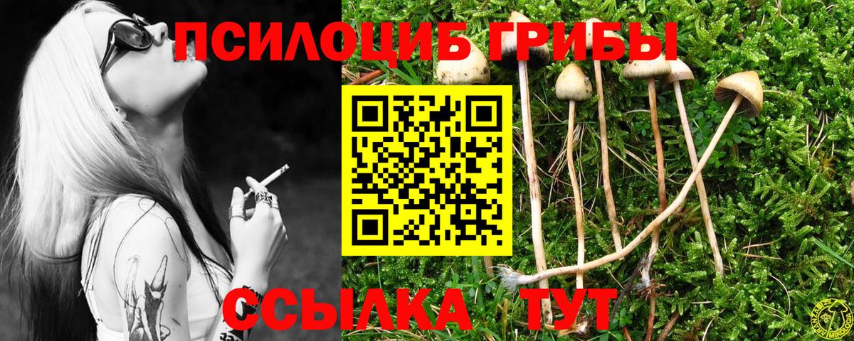 Псилоцибиновые грибы Psilocybe Балабаново
