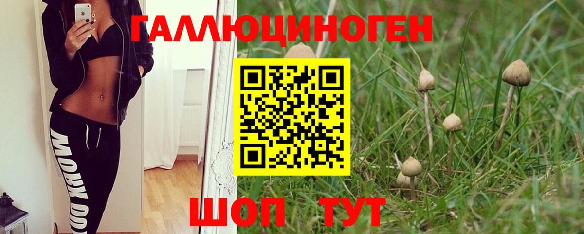 Псилоцибиновые грибы Cubensis  Вход с VPN  Балабаново 