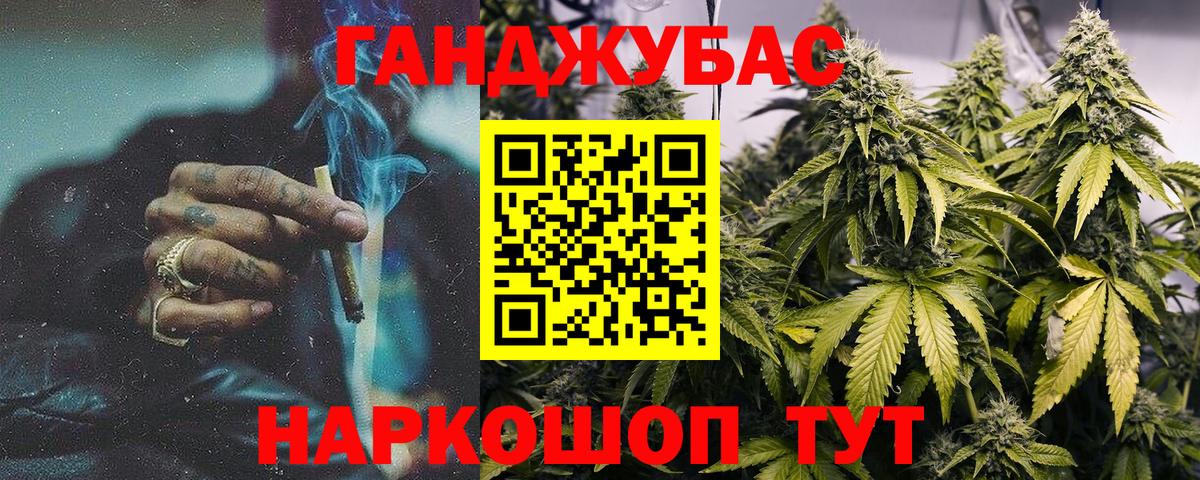 Бошки Шишки план Балабаново